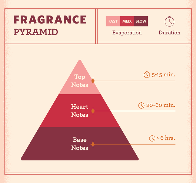 Fragrance Notes Explained: Top, Middle, and Base Notes